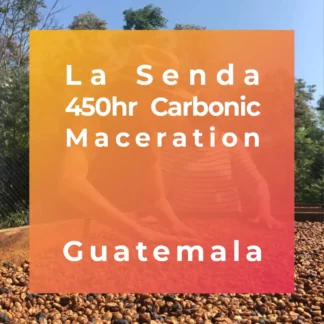 LA SENDA, 450hr Carbonic Maceration - LAST FEW BAGS!!!