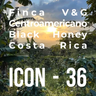 ICON 36 – Centroamericano, Black Honey - RD: TO ORDER