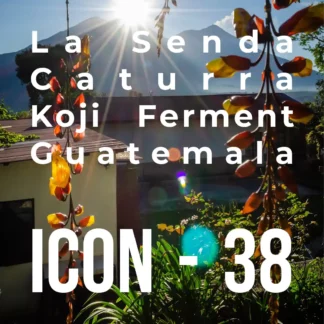 ICON 38 – Caturra Koji Fermentation - RD: 29/02/24