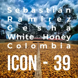 ICON 39 – Gesha, White Honey - RD: 01/03/24