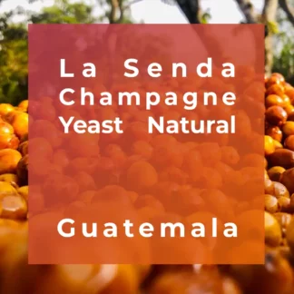 LA SENDA, Champagne Yeast Natural