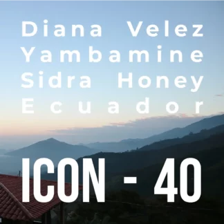 ICON 40 – Yambamine, Sidra Honey - RD: 09/04/24