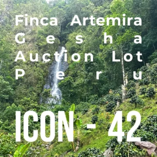 ICON 42 – Finca Artemira, Gesha Auction Lot - RD: 10/06/24