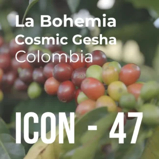 ICON 47 – La Bohemia, Cosmic Gesha - RD: 31/10/24