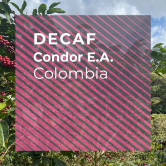 EL VERGEL “CONDOR” Decaf