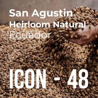 ICON 48 - San Agustin, Heirloom Natural - RD: 17/12/24