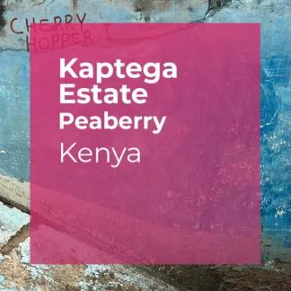 KAPTEGA ESTATE, Peaberry