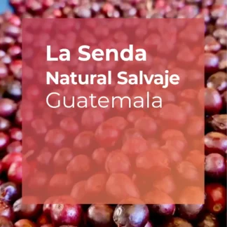 LA SENDA, Natural Salvaje