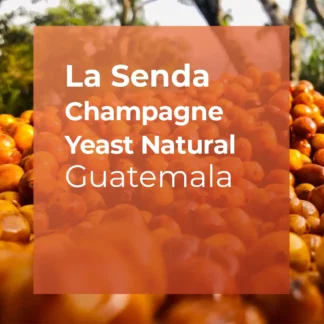 LA SENDA, Champagne Yeast Natural