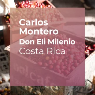 CARLOS MONTERO, Don Eli Milenio Natural