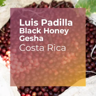 LUIS PADILLA, Black Honey Gesha