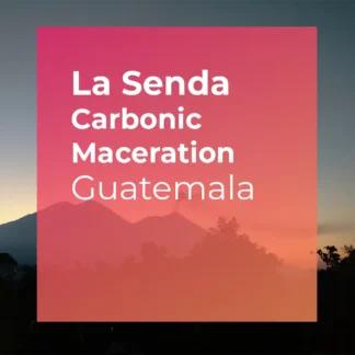 LA SENDA, Carbonic Maceration