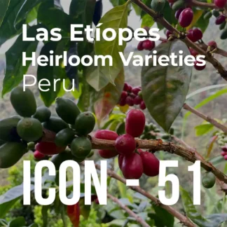 ICON 51 - Las Etíopes, Washed Heirloom